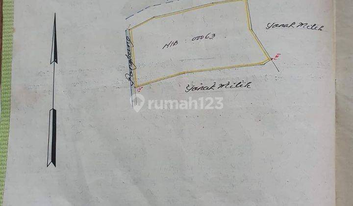 FREEHOLD LAND 29 ARA LOS PANTAI TEJAKULA BULELENG, SINGARAJA 1