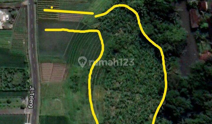 FOR SALE LAND 82 ARA RICE FIELD VIEW - LOS RIVERSIDE - UBUD 2