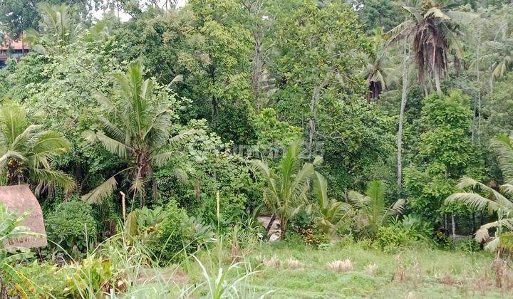 FOR SALE LAND RICE FIELD VIEW & AYUNG RIVER 80 ARA - UBUD 2