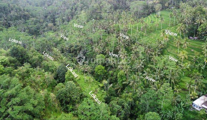 PREMIUM LAND IN UBUD AREA 11200 m² - SHM 2