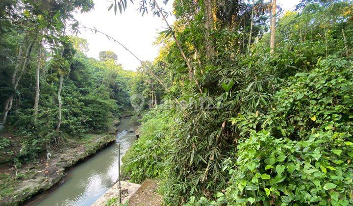 LEASE HOLD LAND AT KABA KABA, NYAMBU - JUNGLE AND RIVER VIEW 45 ARA 1