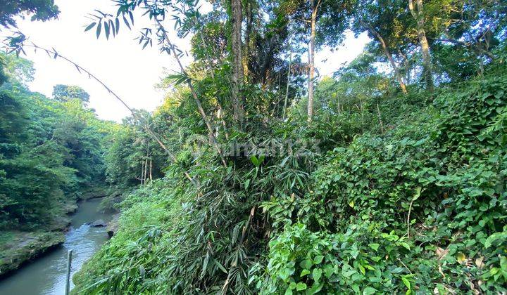 LEASE HOLD LAND AT KABA KABA, NYAMBU - JUNGLE AND RIVER VIEW 45 ARA 2