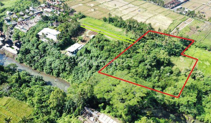 LAND FOR SALE LOS SUNGAI LODTUNDUH UBUD 52.2 ARA 2