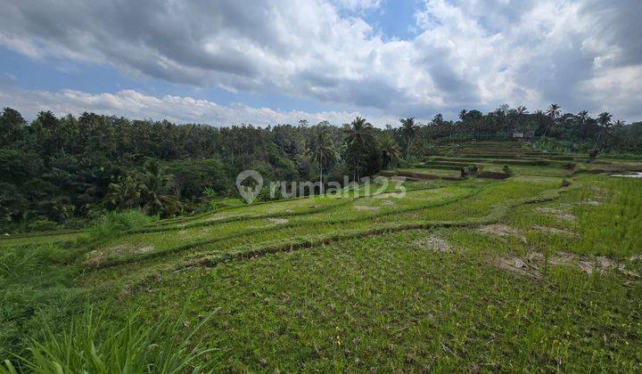 FOR SALE LAND 7-10Ha - PAYANGAN, BUHAN - KAJA, SRETEJA UBUD 2