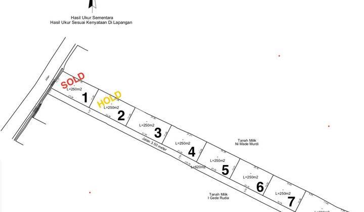 FREEHOLD LAND 20,8 are - BERABAN, PASUT - TABANAN  1