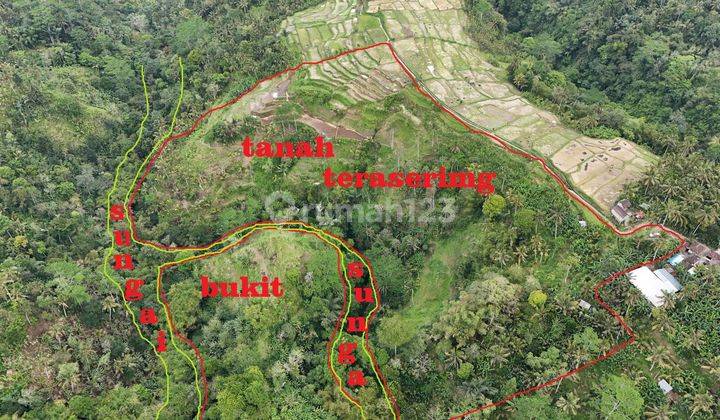 FOR SALE LAND IN BUHAN, PAYANGAN - UBUD 2