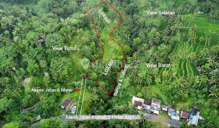 FOR SALE LAND WITH BEAUTIFUL VIEW OF RIVER, JUNGLE, CLIFFS AND RICE FIELDS 47 ARA 2