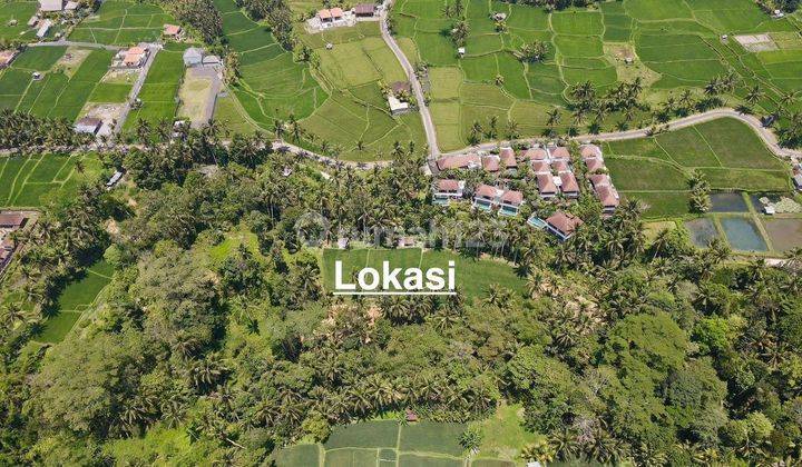 LAND FOR SALE TEGALALANG UBUD
SUITABLE FOR VILLA / RESORT AND INVESTMENT 2