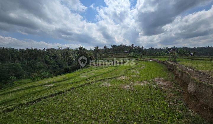 FOR SALE LAND 7-10Ha - PAYANGAN, BUHAN - KAJA, SRETEJA UBUD 1