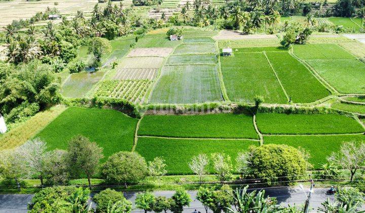 LAND FOR SALE IN KRASAN MAMBAL - BADUNG 1,91Ha 1