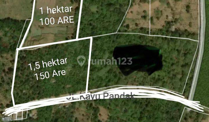 FOR SALE LAND 2,5Ha - PINGGIR JALAN KAYU PANDAK GESING - BEDUGUL  2