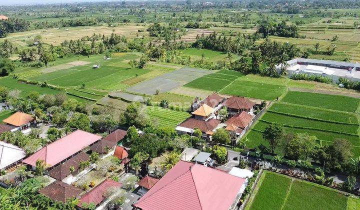 LAND FOR SALE IN KRASAN MAMBAL - BADUNG 1,91Ha 2