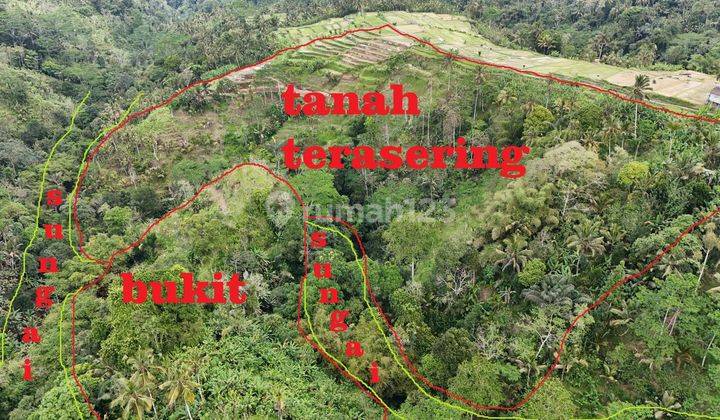 FOR SALE LAND IN BUHAN, PAYANGAN - UBUD 1