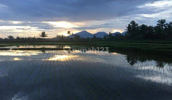 FOR SALE LAND 4Ha AT UBUD - GIANYAR, BALI 2