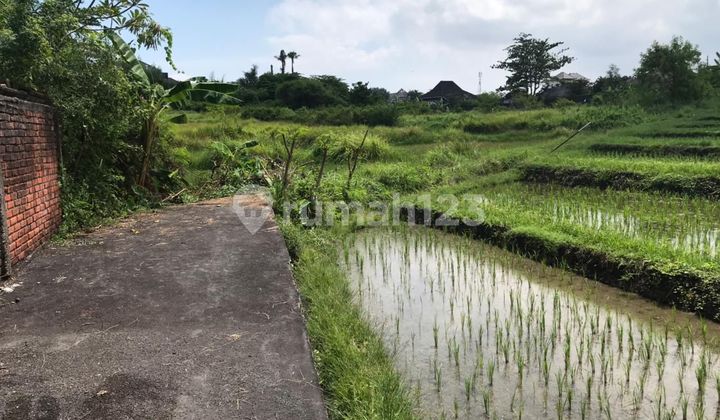 Dijual Tanah 21 Are Umalas Kauh Kerobokan Kuta Utara Dijual Tanah 21 Are Umalas Kauh Kerobokan Kuta Utara