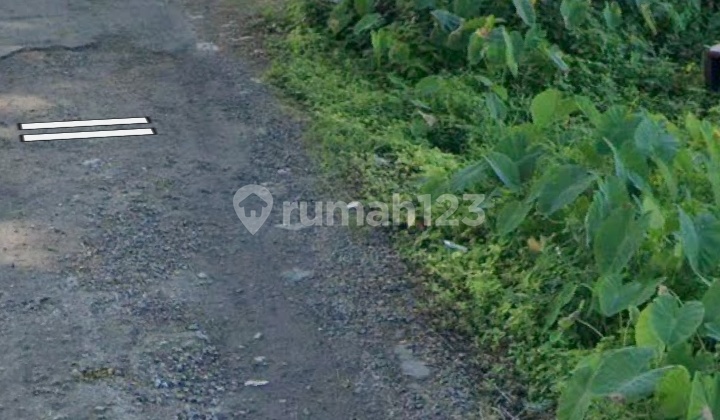 Dijual Tanah 7,85 Are Jln.taman Sari Kerobokan Badung-Bali