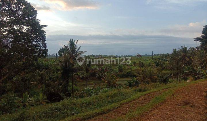 Selling land with rice field view in Werdibuana Mengwi Badung 1