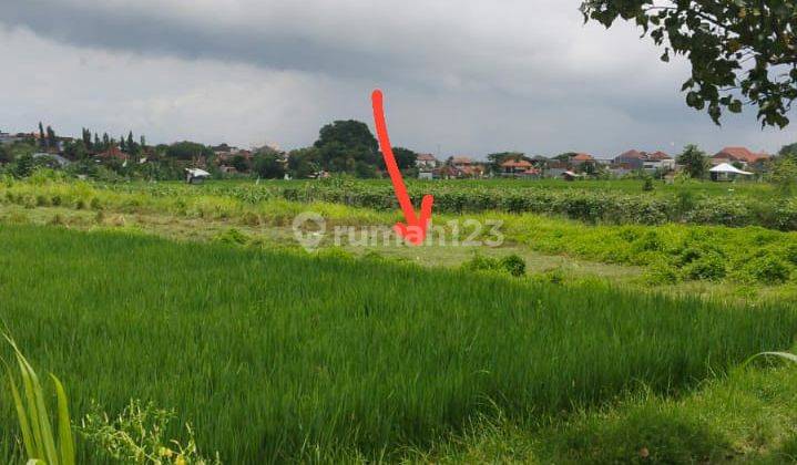 Selling 7.95 acres of land in Kedampang, Kerobokan, Badung - Bali 2