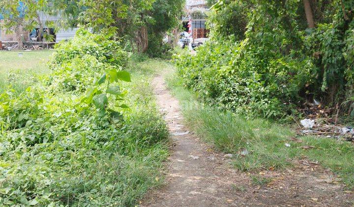 Jual tanah 7,95 are kedampang kerobokan badung - bali 6