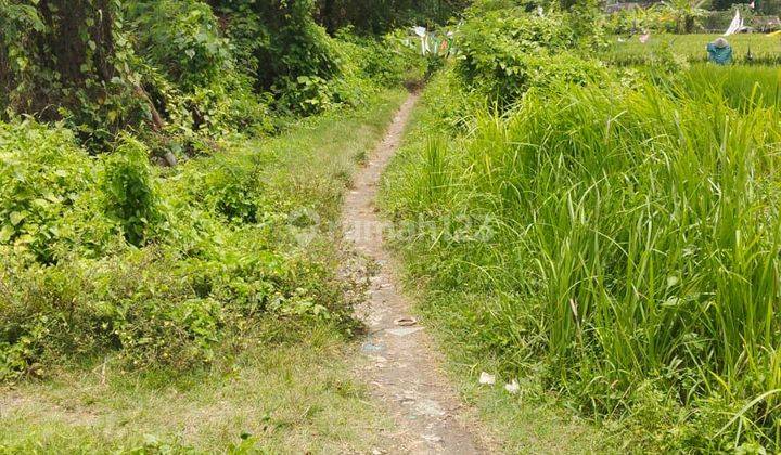 Jual tanah 7,95 are kedampang kerobokan badung - bali 8