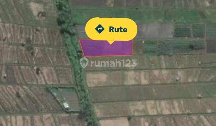 Jual tanah 7,95 are kedampang kerobokan badung - bali 10