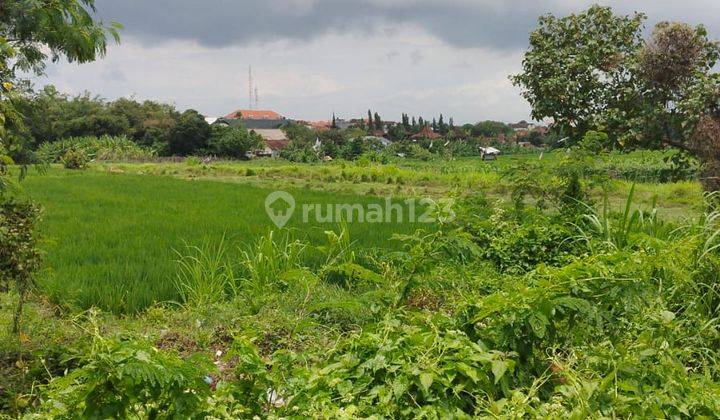 Jual tanah 7,95 are kedampang kerobokan badung - bali 9