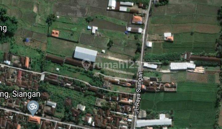 Dijual tanah 23,5 are view sawah dan pinggir jalan raya siangan  3