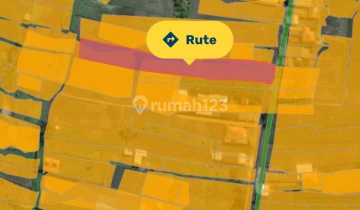Dijual tanah 23,5 are view sawah dan pinggir jalan raya siangan  5