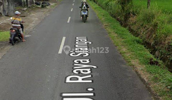 Dijual tanah 23,5 are view sawah dan pinggir jalan raya siangan  6