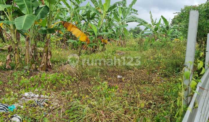 Dijual tanah jalan utama astina timur samplangan gianyar - bali 2