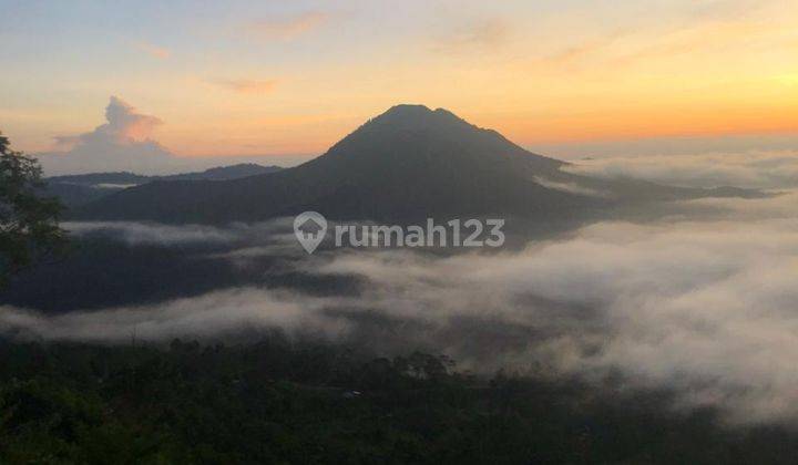 Dijual 10 are jln.raya penelokan kintamani view Los gunung batur 2