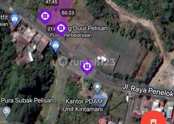 Dijual 10 are jln.raya penelokan kintamani view Los gunung batur 3