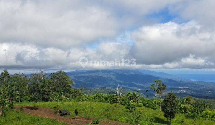 Dijual tanah 400 are gesing full view laut dan kota 1