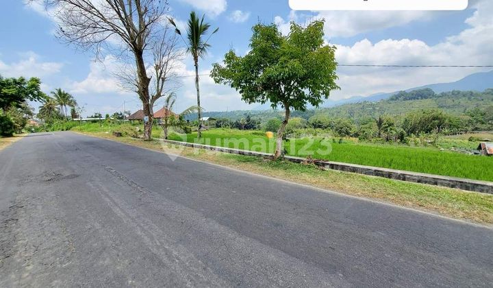 Dijual Tanah 76,85 Are View Gunung dan Sawah Dekat Jembatan Tukad Bangkung Petang Dijual Tanah 76,85 Are View Gunung dan Sawah Dekat Jembatan Tukad Bangkung Petang