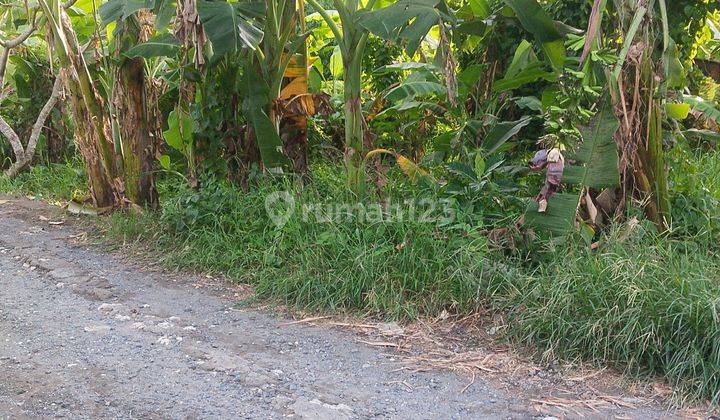 For sale, 8 acres of land in Canggu Munggu 2