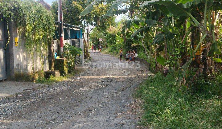 For sale, 8 acres of land in Canggu Munggu 1