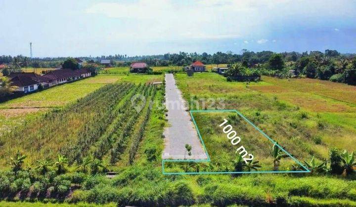 For sale is 10 acres of land in Kedungu Belalang Tabanan-Bali 2