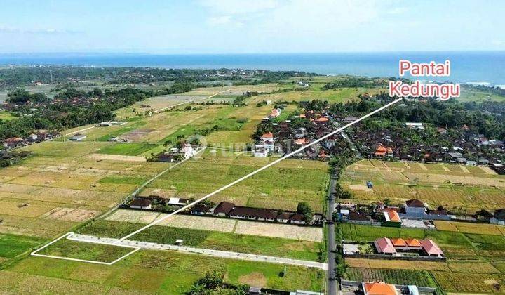 For sale is 10 acres of land in Kedungu Belalang Tabanan-Bali 1