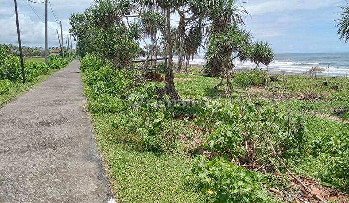 187 are land for sale on the beach of Mendoyo Jembrana 1