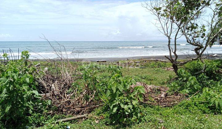 187 are land for sale on the beach of Mendoyo Jembrana 2