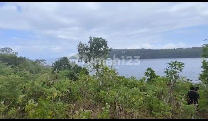 Dijual tanah 300 are pinggir tebing gamad bay desa sakti Dijual tanah 300 are pinggir tebing gamad bay desa sakti