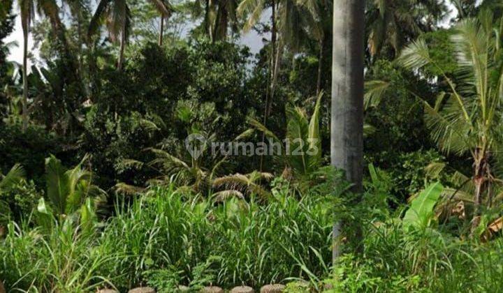 Dijual tanah 113 are view sawah dan lembah kendran ubud 1