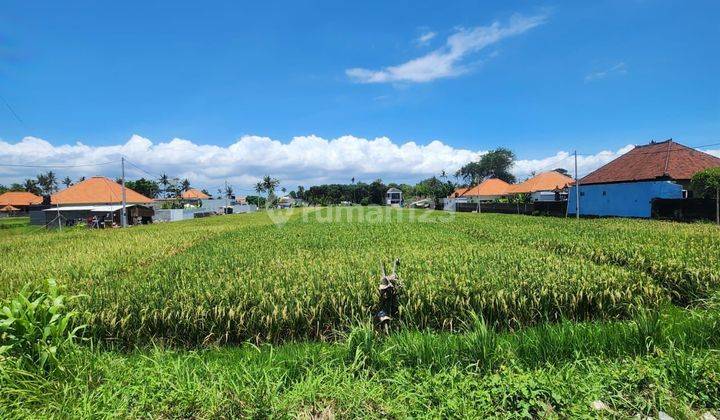 Disewa tanah 13,75 are dekat pantai seseh cemagi 2