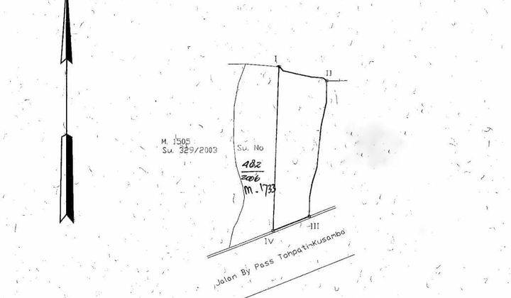 Dijual Tanah 20,65 Are Jalan Ida Bagus Mantra Tulikup Gianyar 2