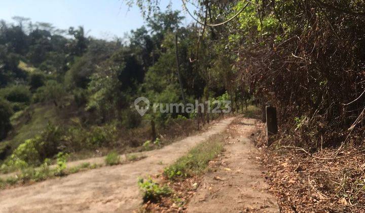 Dijual Tanah 72,8 Are Los Sungai Dan View Hutan Sukawati 2