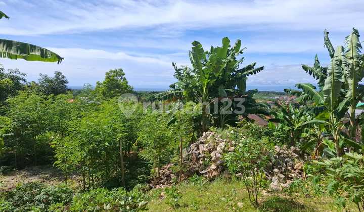 For rent 48.7 are of land with ocean view, Balangan, Jimbaran