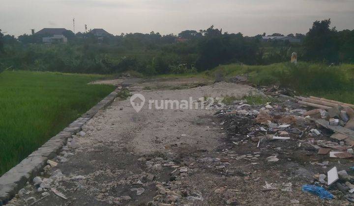 Dijual Tanah 6,87 Are Masuk 100 Meter Dari Jalan Kedampang 1