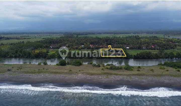 Dijual Tanah 142 Are Los Sungai Pantai Delodberawah Jembrana 2