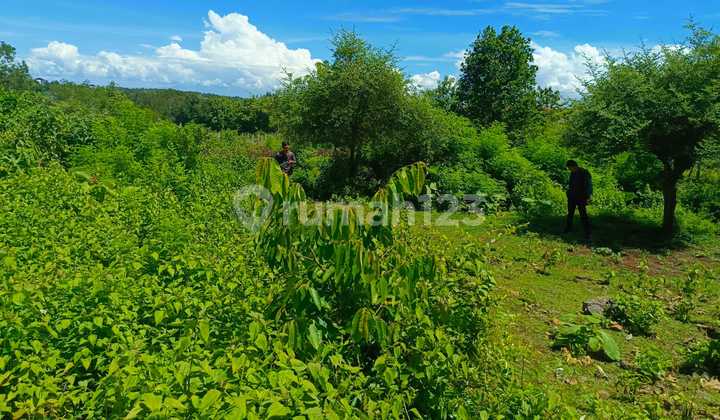 For Sale Land Area Gading Kencana Jimbaran