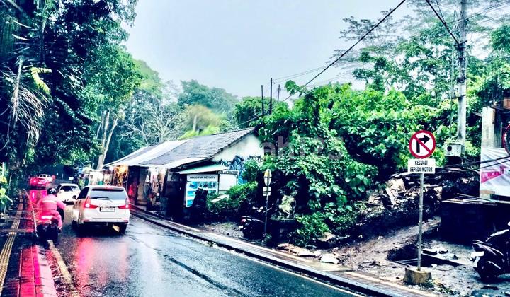 Dijual Tanah 12,14 Are Jalan Utama Monkey Forest Ubud Dijual Tanah 12,14 Are Jalan Utama Monkey Forest Ubud